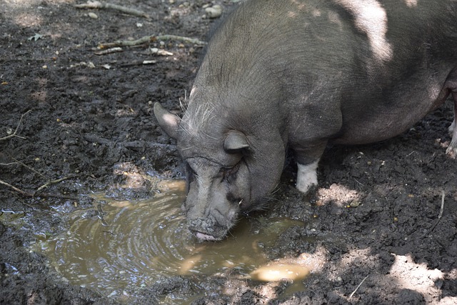 此出色的表 此出色的表