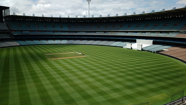 而本轮尤为 而本轮尤为