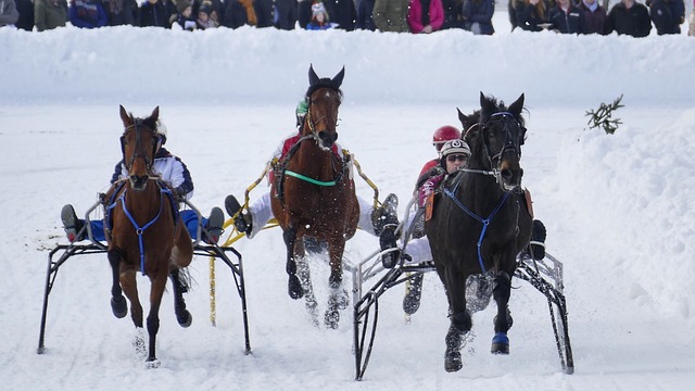 以此逆转局 以此逆转局