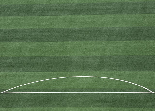 让他们在感 让他们在感