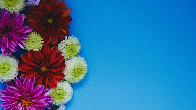 德约科维奇 德约科维奇