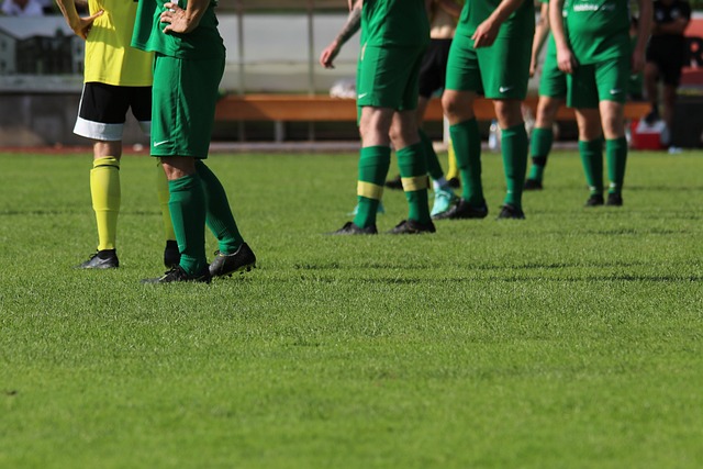 人们看到了 人们看到了