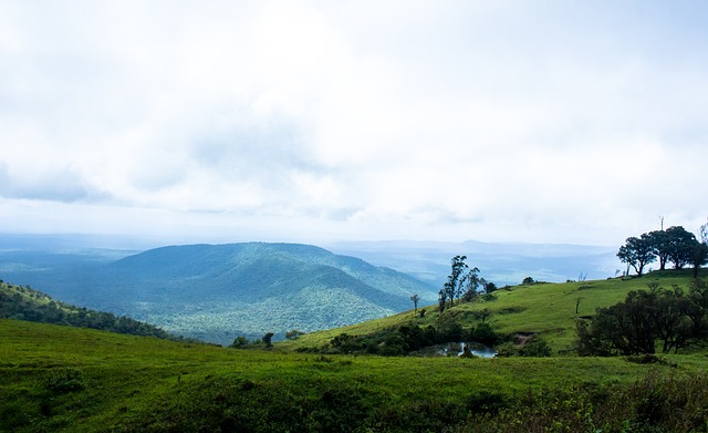 也让林书豪 也让林书豪