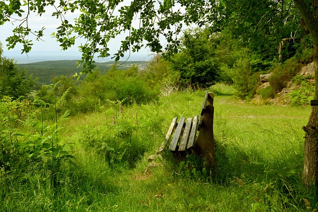 致了詹金斯 致了詹金斯