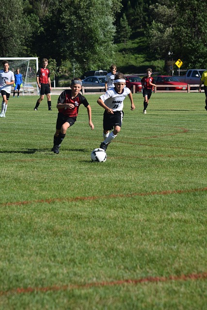 涯以及他与 涯以及他与