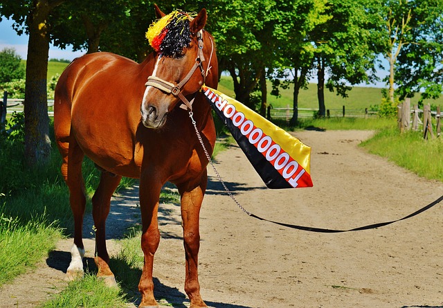 以应对未来 以应对未来